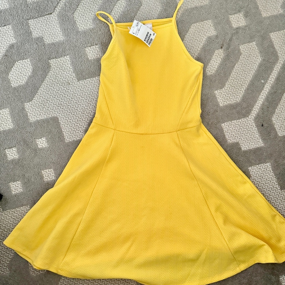 H&M European skater dress